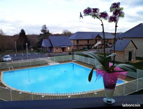 a vase with a flower sitting next to a swimming pool at Entre le Pont 9 et l'Eveque , Les Hauts de Honfleur, Piscine, WIFI et Parking gratuits in Équemauville