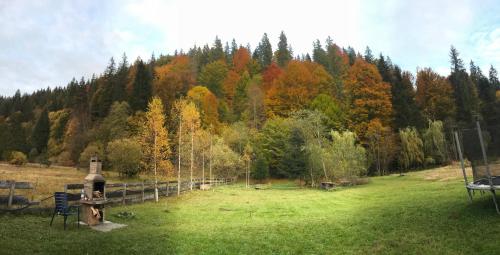 a field with a fence and trees in the background at Central Chalet in Vărşag