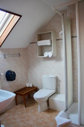 une salle de bain avec toilettes, douche et lavabo dans l'établissement Logis La Chaumière Saint-Maurice, à Thorens-Glières
