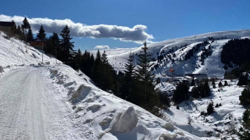 a snow covered mountain with trees and a road at Villa 80 Kodra e Diellit in Tetovo