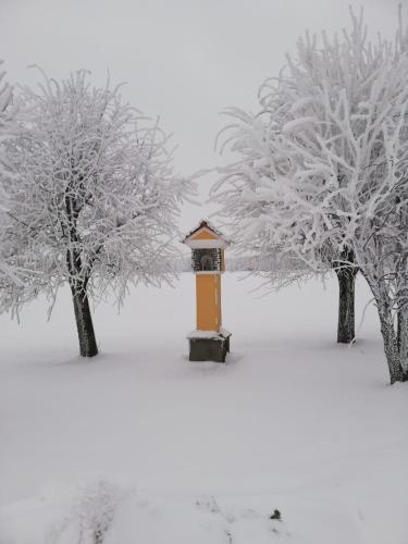 a bird feeder in the snow between two trees at Ferienwohnung Kratochvil in Bernreith