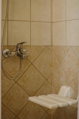 a bathroom with a shower and a toilet at Grand Hotel Dentro in Konitsa