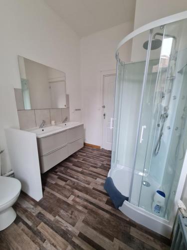 a bathroom with a shower and a toilet and a sink at Appartement de charme avec parking et terrasse in Besançon