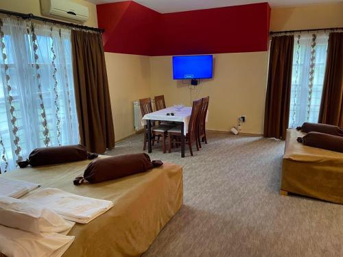 Una televisión o centro de entretenimiento en Hotel Dva Goluba