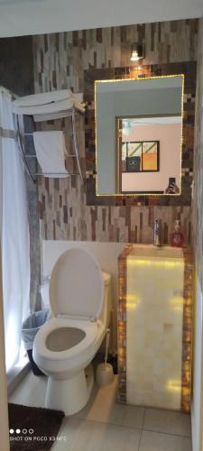 a bathroom with a white toilet and a mirror at Casa Armony in Cuernavaca