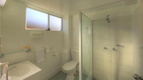 a bathroom with a toilet and a sink and a shower at The Vines Motel & Cottages in Stanthorpe