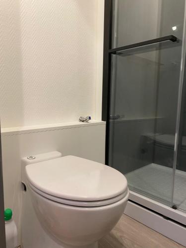 La salle de bains est pourvue d'une douche et de toilettes blanches. dans l'établissement Le Semnoz, à Annecy