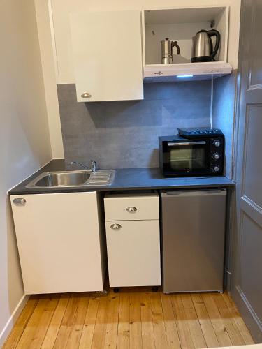 une petite cuisine avec un évier et un micro-ondes dans l'établissement Le Semnoz, à Annecy