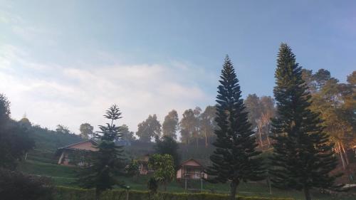 a group of trees in front of a house at Mong Homestay Resort in Pang Ung