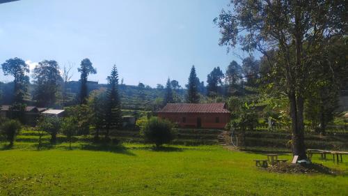 a picnic table in a field with a tree and a building at Mong Homestay Resort in Pang Ung