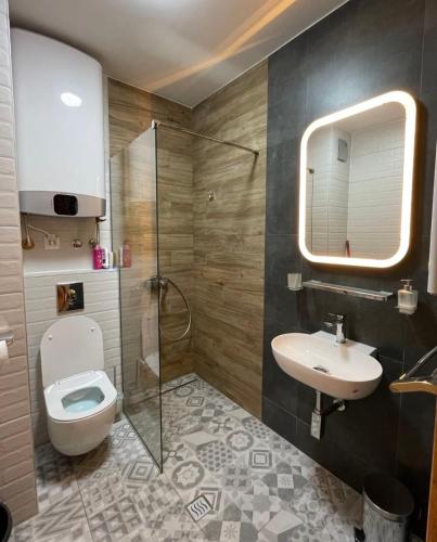 a bathroom with a toilet and a sink and a shower at Apartman Pinewood Divcibare in Divčibare