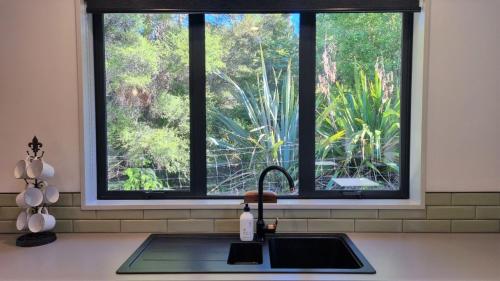 ハンマー・スプリングスにある3 Oakview Closeのキッチン(シンク付)、木々が植わる窓