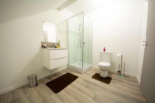 ein Bad mit einer Glasdusche und einem WC in der Unterkunft MALËiKA !!! Superbe T2 HOME STAGING avec parking gratuit !!! in Saint-Quentin