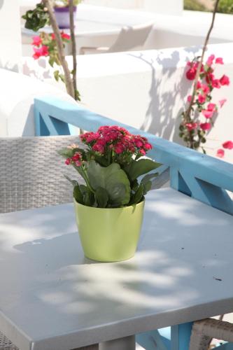 a pot of flowers sitting on a table at Blue Sky in Galissas