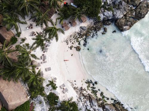 an overhead view of a beach with palm trees and the ocean at Diamante K - Inside Tulum National Park in Tulum