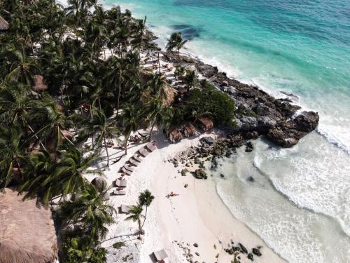an aerial view of a beach with palm trees and the ocean at Diamante K - Inside Tulum National Park in Tulum