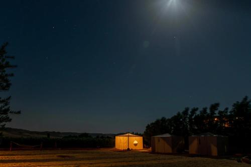 a lit up tent in a field at night at Mangrove Camp Fayoum in ‘Ezbet Ilyâs