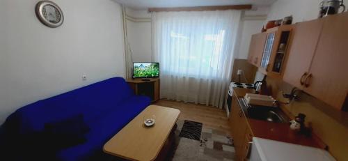 un salon avec un canapé bleu et une télévision dans l'établissement Vinara Kupres, à Kupres