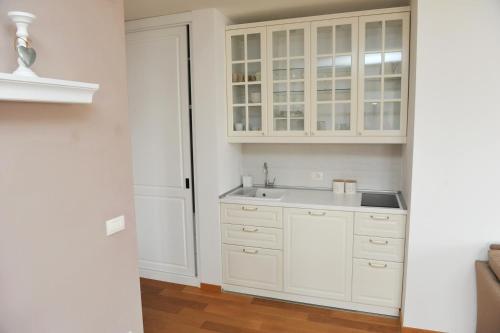 Η κουζίνα ή μικρή κουζίνα στο Vila Borova Zlatibor Apartments