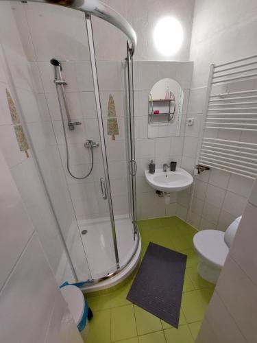 a bathroom with a shower and a toilet and a sink at Penzion Emílie in Jeseník