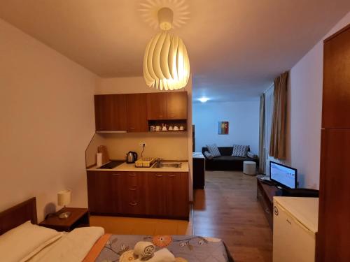 バンスコにあるBanskoSuperSkiのリビングルーム(キッチン付)、リビングルーム