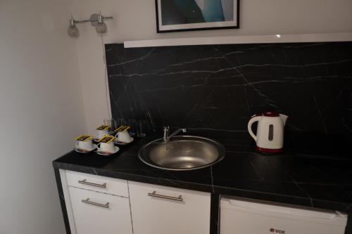 a kitchen counter with a sink and a counter top at The Only One Suites in Niš