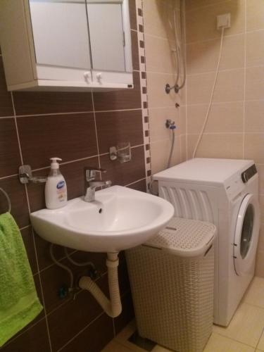 Koupelna v ubytování Daniris apartman