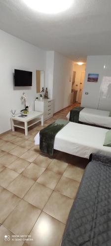 Castle HARBOUR 510