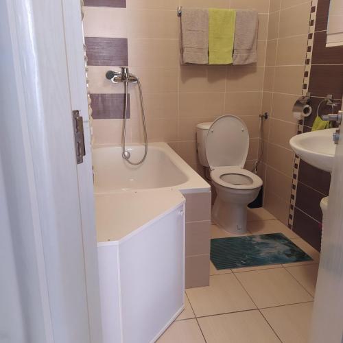 a bathroom with a tub and a toilet and a sink at Daniris apartman in Novi Sad