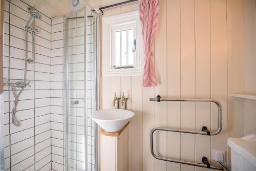 a bathroom with a sink and a shower at Thyme Shepherds Hut Boundary Farm Air Manage Suffolk in Woodbridge