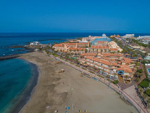an aerial view of a beach and the ocean at Apartamentos Vista Sur in Playa de las Americas