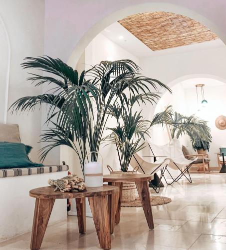 una sala de estar con 2 mesas y una planta en Casa du Soleil, en Madrid