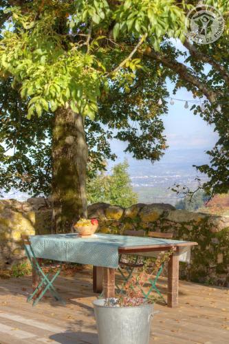 a table under a tree with a bowl of fruit on it at La Ferme des Galoches in Villemontais