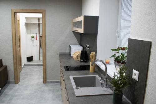 a kitchen with a sink and a counter top at Apartmány Karolin in Uhorská Ves