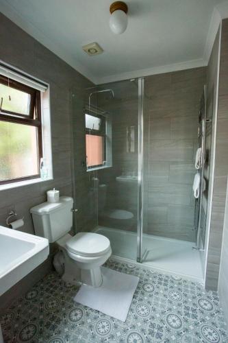 a bathroom with a toilet and a shower and a sink at Goitre Bach Cottage in Aberaeron