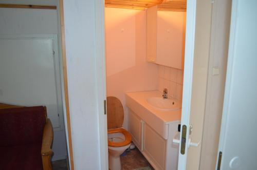 un piccolo bagno con un water e un lavandino di Sänkelä Cottage a Lämsä