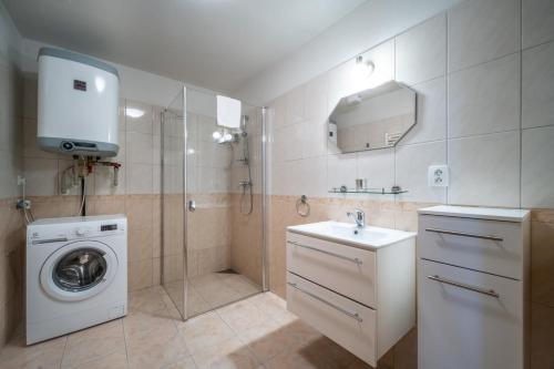 uma casa de banho com uma máquina de lavar roupa e um lavatório em Apartmán Verča Riviera Lipno 510 em Lipno nad Vltavou
