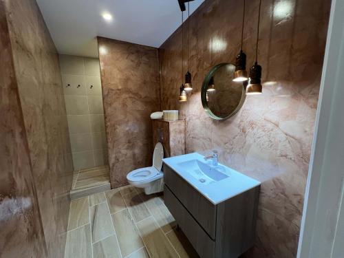ein Badezimmer mit einem Waschbecken, einem WC und einem Spiegel in der Unterkunft Bel appartement au centre du vieux Joigny in Joigny