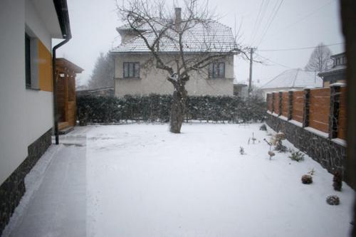 a group of birds standing in a yard in the snow at Apartmány Karolin in Uhorská Ves