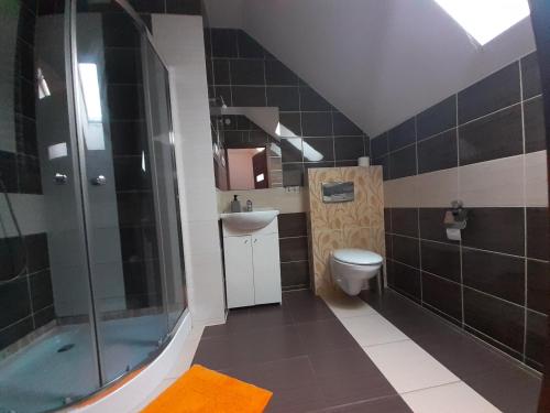 uma casa de banho com um chuveiro, um WC e um lavatório. em Noclegi Pod Dębem, Pulandia Brzózki em Brzózki