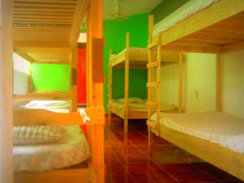 two bunk beds in a room with green walls at Hostel Tadeo San Juan del Sur in San Juan del Sur