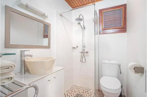 a bathroom with a shower and a toilet and a sink at Appartement Maëva, Idéal Couple, Jacuzzi in Quartier Monplaisir