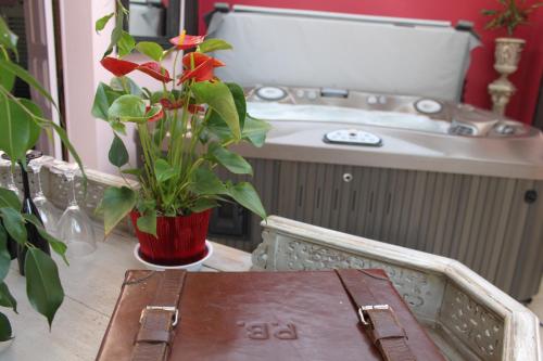 a bathroom with a sink and a table with a plant at Chambres et table d'hôtes, maisonnettes individuelles dans propriété privée in Vézinnes