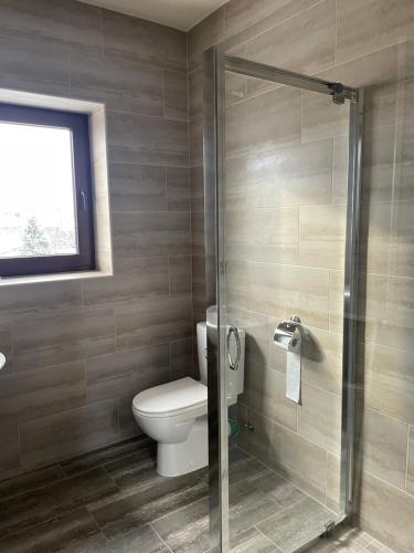 uma casa de banho com um WC e uma cabina de duche em vidro. em ApartHotel em Mukacheve