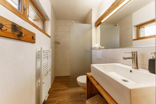 a bathroom with a sink and a toilet at Biochalet-Ebenbauer in Schladming