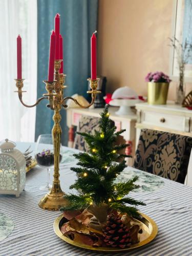 a christmas tree on a table with two candles at Villa Tanya in Trebbiantico