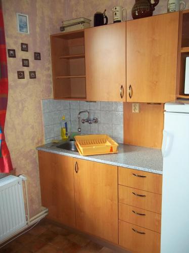 a kitchen with wooden cabinets and a sink at Pension Familia in Harrachov