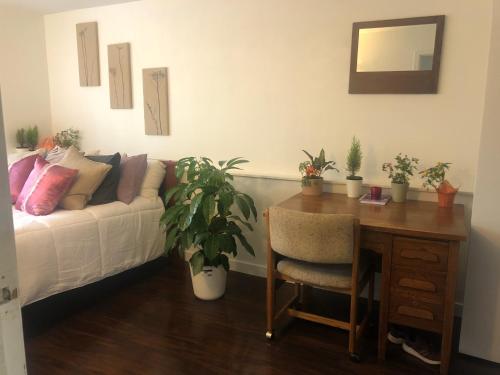 ein Wohnzimmer mit einem Sofa und einem Schreibtisch mit Pflanzen in der Unterkunft Quiet-comfy 3 bed on a tree lined street in Kits in Vancouver