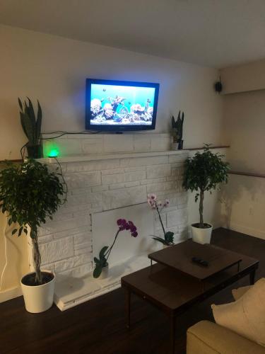 a living room with a white brick fireplace with a television at Quiet-comfy 3 bedroom-shared home and bath on a tree lined street in Kits in Vancouver