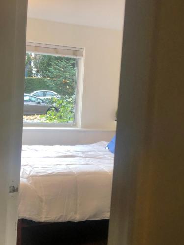 a bedroom with a bed and a window at Quiet-comfy 3 bedroom-shared home and bath on a tree lined street in Kits in Vancouver